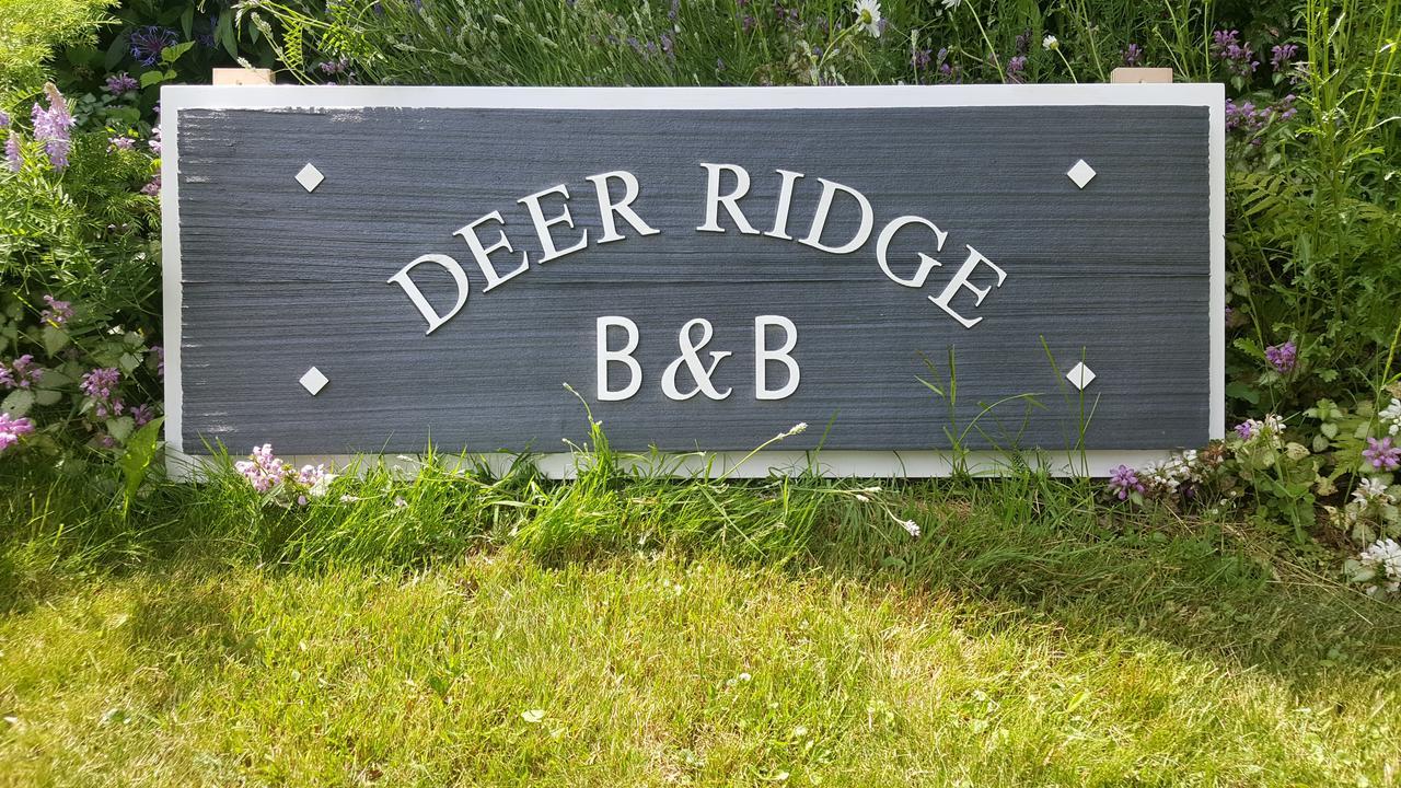 Deer Ridge B&B Golden Bagian luar foto